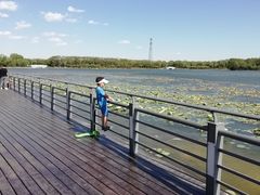 -大兴滨河森林公园