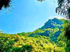 -三门海