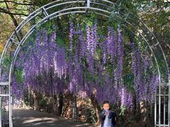 -宝岩生态观光园