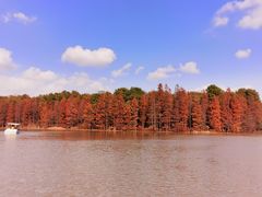 -上海海湾国家森林公园