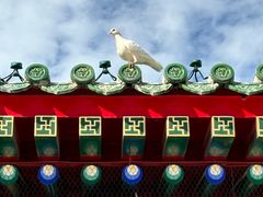 -天津大悲禅院