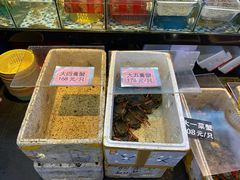 -莲花公园煎蟹(总店)