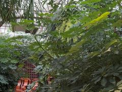 -金稼园·金平湖农家菜