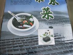-北岐滩涂