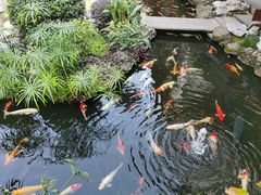 -聚福宝合苑食府(南头镇店)