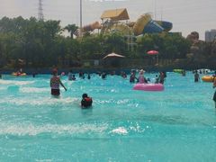 -美的鹭湖探索王国