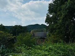 -莫干山郡安里度假酒店-桃尖中餐厅