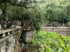 -忠山公园