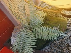 -芝小官毛肚火锅海鲜自助(淮安清江浦区新亚店)