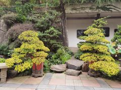 -南山植物园