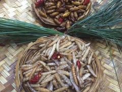 -昆虫窝子·特色云南菜(拓东路总店)
