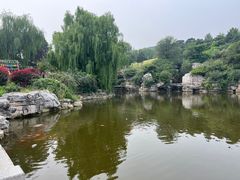 -北京西山国家森林公园