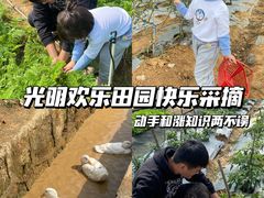 -光明小镇欢乐田园