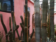 -正佳雨林生态植物园