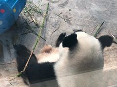 -辛玛王国游乐园