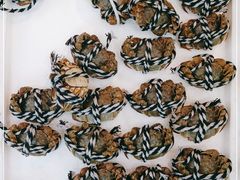 -水果地带(天顺路店)