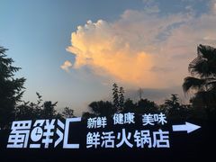 -二荆条·蜀鲜汇城市森林火锅