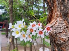 -北京石刻艺术博物馆(五塔寺)