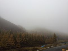 -苏木山森林公园