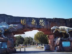 -上海海湾国家森林公园