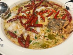 -首秀·四川料理(星耀101店)