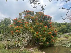 -中国科学院西双版纳热带植物园