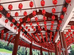 -三水森林公园