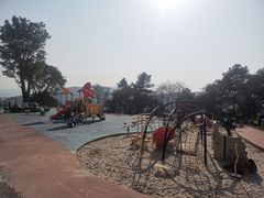 -铁山坪森林公园