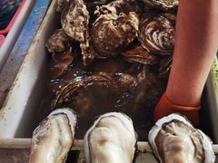 -南沙十九涌渔人码头-南门