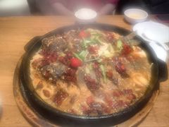 -老板恋上鱼(恒隆广场店)