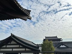-海珠湖公园