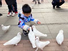 -王府井奥莱临潼小镇(临潼店)