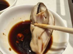 -杨氏青龙虾·羊蝎子(托乐嘉店)