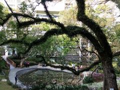 -香港大学