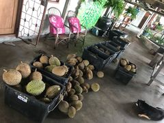 -宝盛园民宿