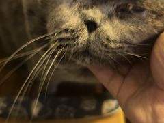 -吹泡·Triphop(棋盘店)