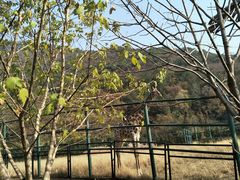 -无锡动物园·太湖欢乐园