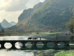 -靖西鹅泉风景区