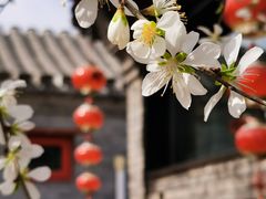 -三里河公园