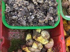 -双喜农庄·菌香园(安居家园店)