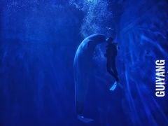 -多彩贵州城极地海洋世界