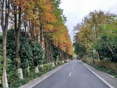 -西溪国家湿地公园