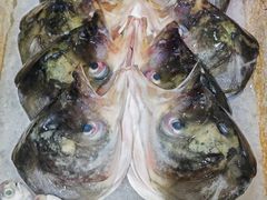 -隆都四季香饭店(碧海路店)