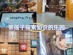 -广东中医药博物馆
