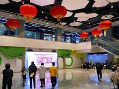 -中国宋庆龄青少年科技文化交流中心