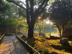 -新荣记(西溪湿地店)