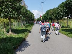 -上海长兴岛郊野公园