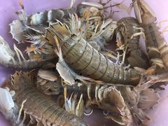 -四海鲜渔家菜(黄金海岸店)