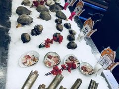 -渔娘渔家丹东海鲜(东直门店)