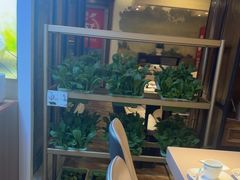 -57度湘(王府井10F店)